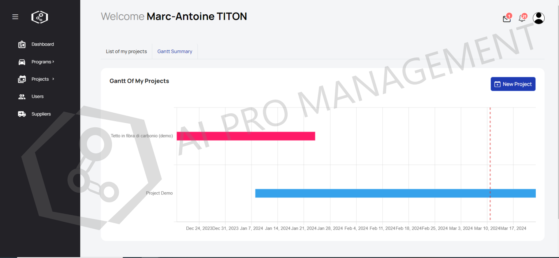 User's projects gantt summary